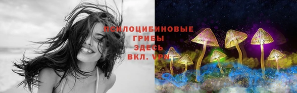 бутират Покачи